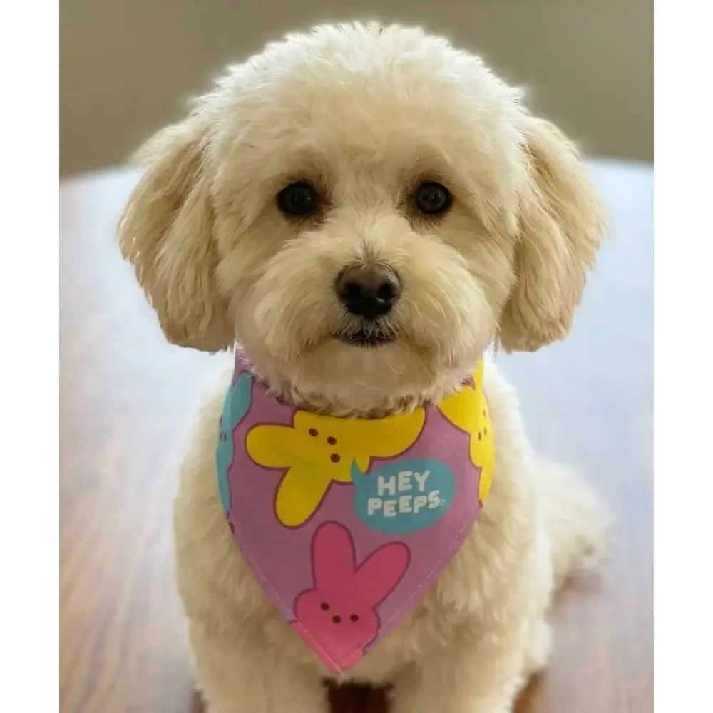 Peeps Dog Easter Bandanas Small Breed Dogs 7